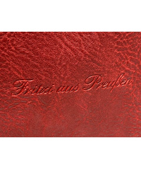 Fritzi aus Preussen Damen Arin Schultertasche Rot (Red)